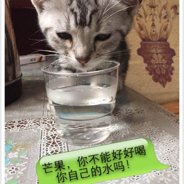 俄亥俄州中部技术学院学历认证办理